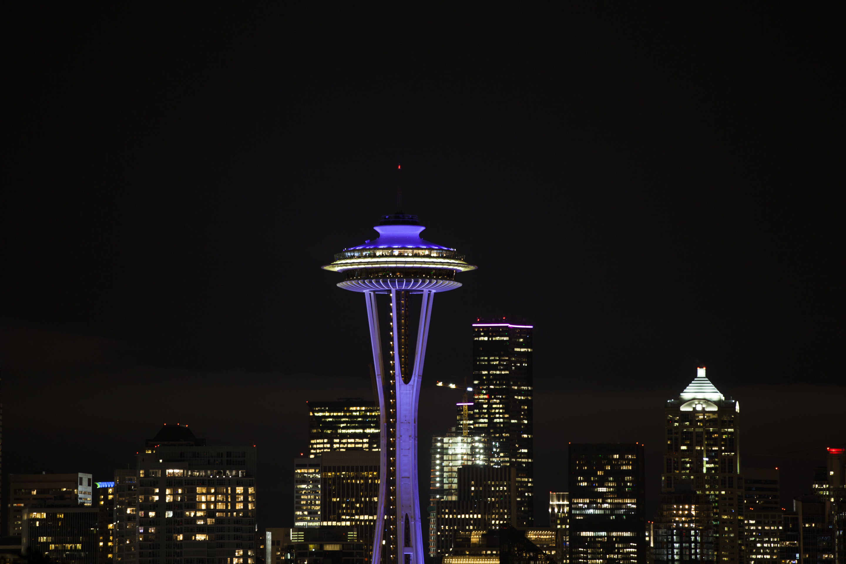 MJ2508:  2nd Annual Seattle Sudden Cardiac Death Symposium Banner